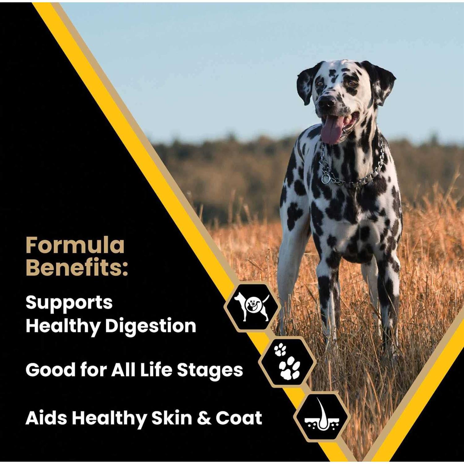 Victor Multi-Pro Dog Food - Healthber
