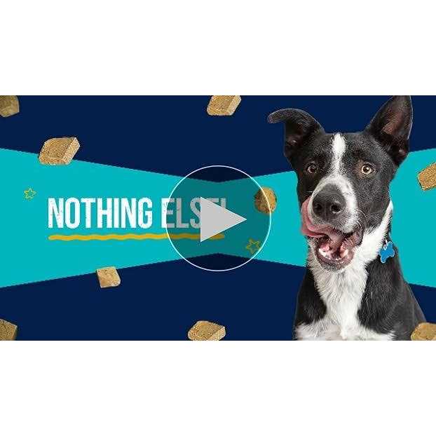 Stewart Chicken Freeze Dried Dog Treats - Healthber