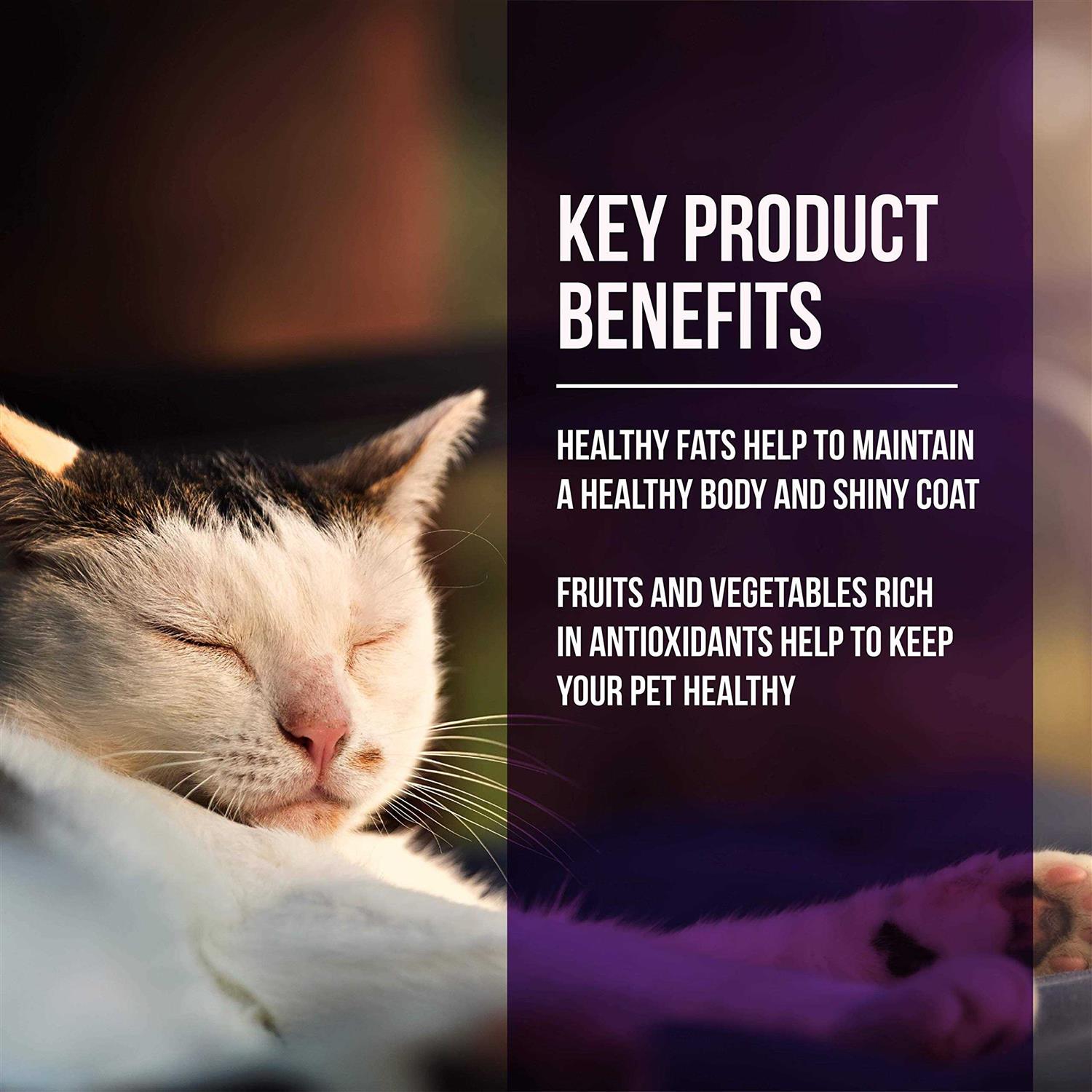 Fussie Cat Market Fresh Quail & Duck Meal Dry Cat Food - Healthber
