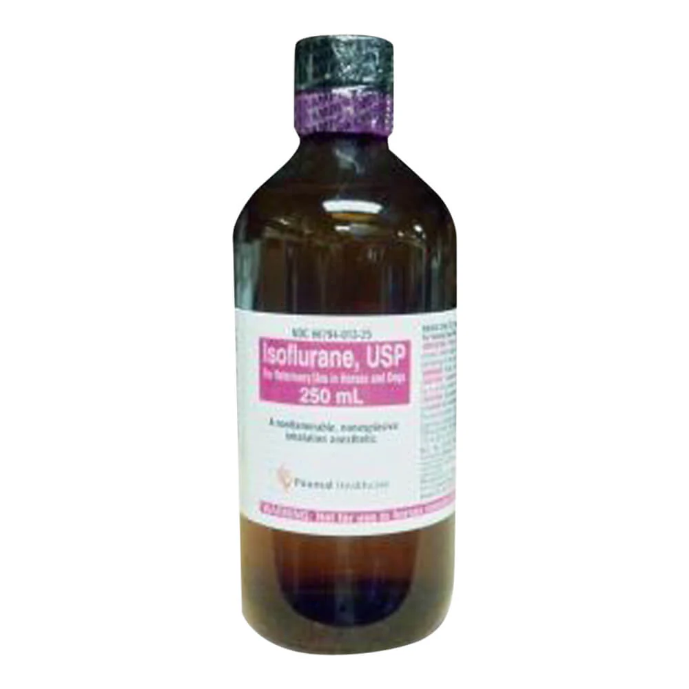 Rx Isoflurane (Generic) for Horses & Dogs, 250 ml - Healthber