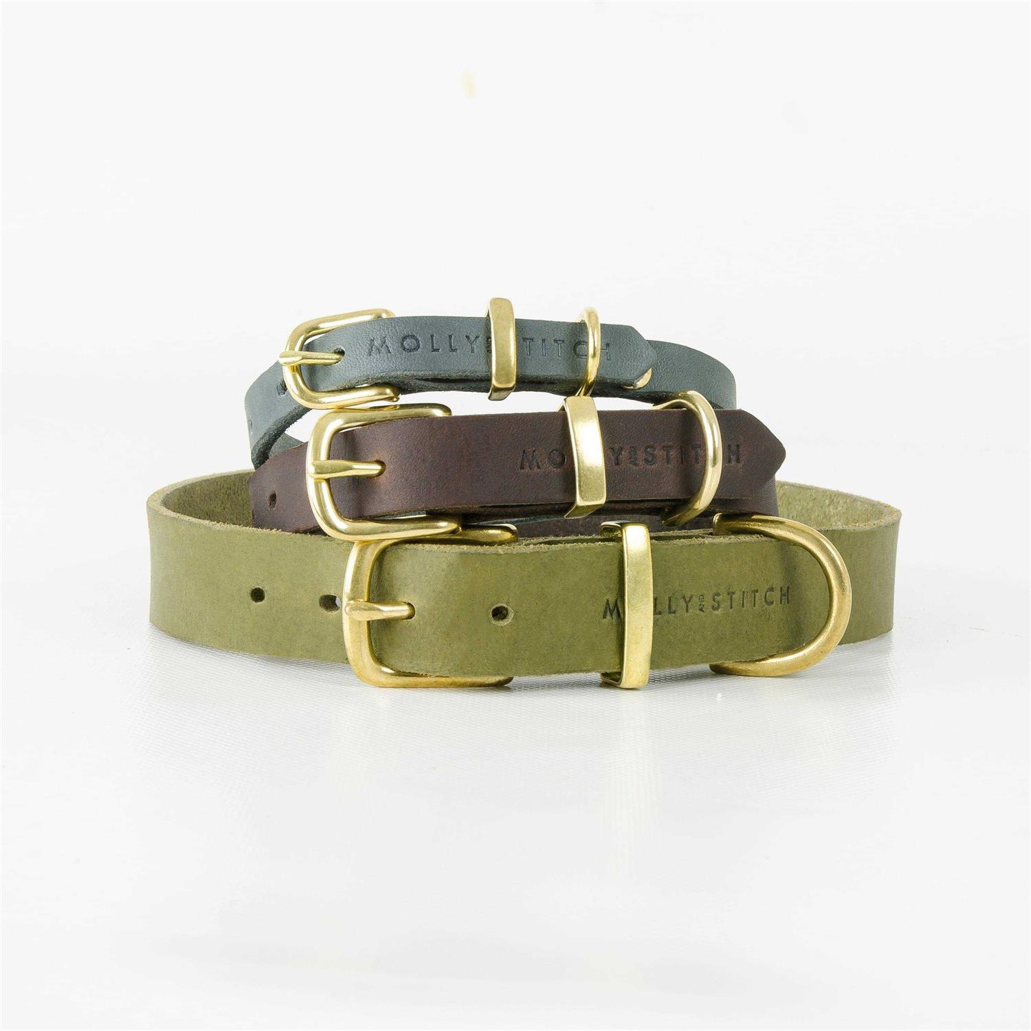 Butter Leather Dog Collar Molly And Stitch US - Healthber