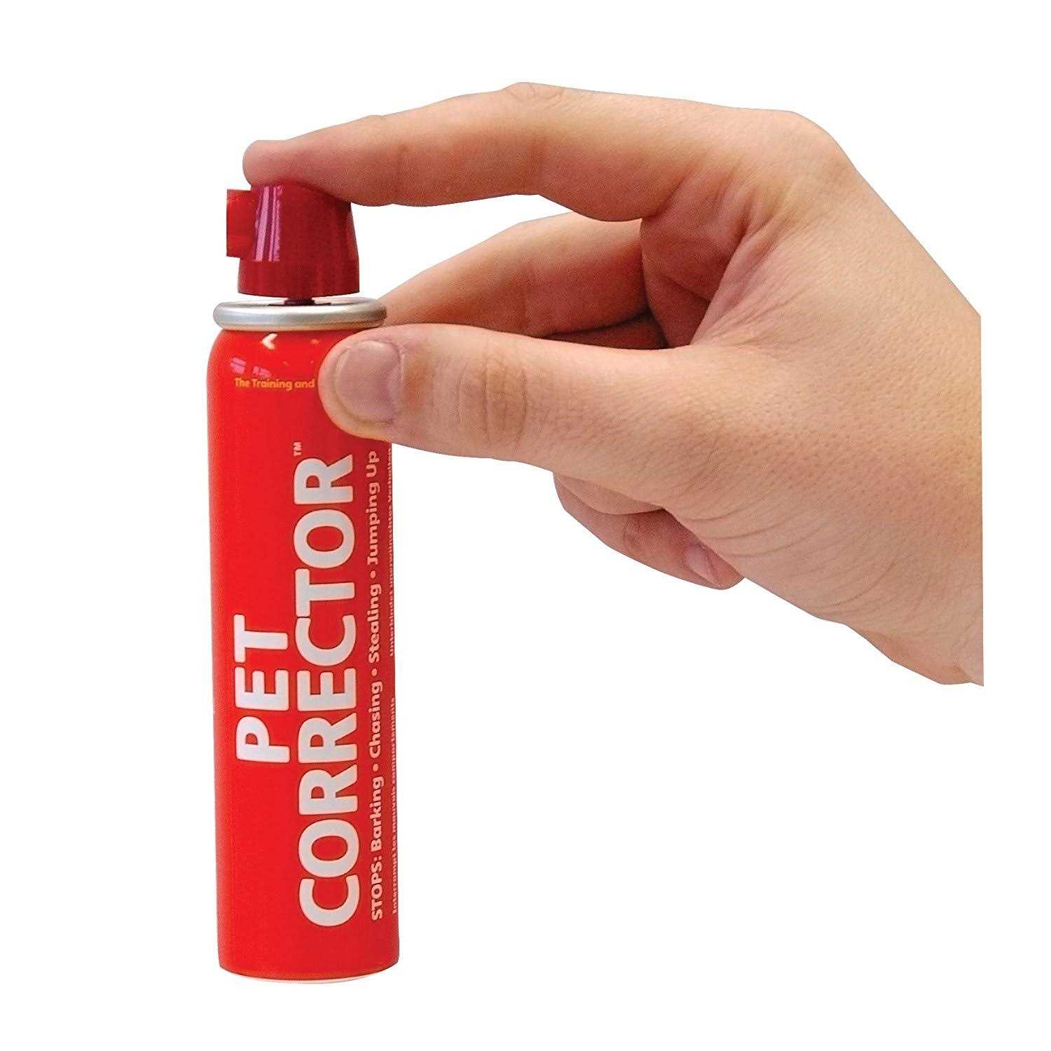 Company of Animals Pet Corrector Dog Training Aid - Healthber