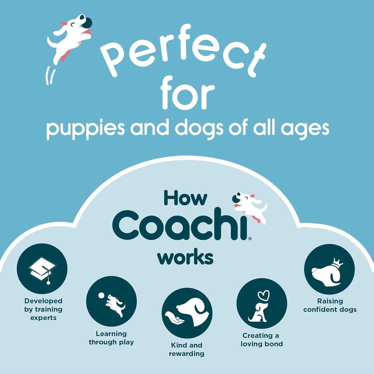 Coachi Dog Training Target Stick - Healthber