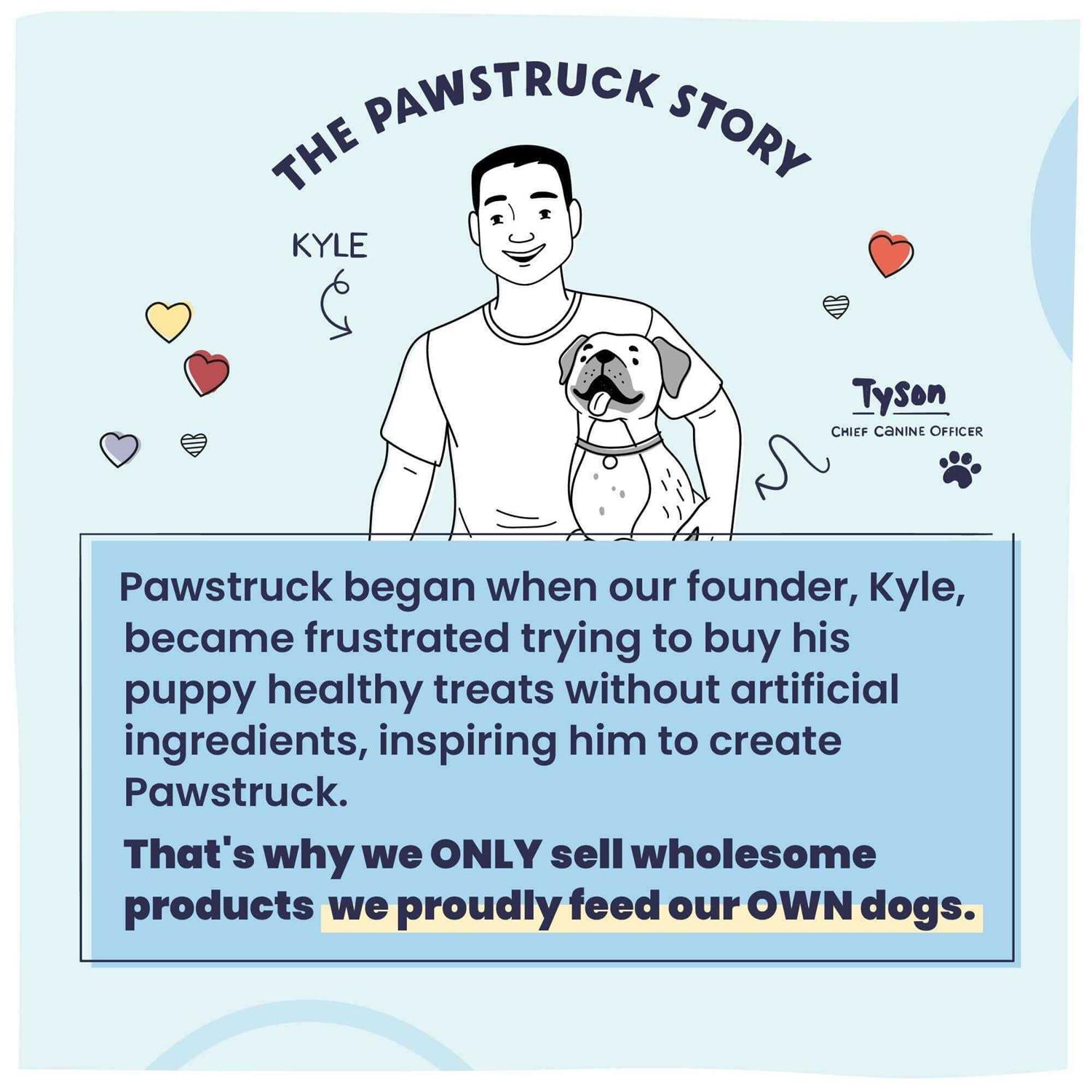 Pawstruck Recipe Grain-Free Air Dried Dog Food - Healthber