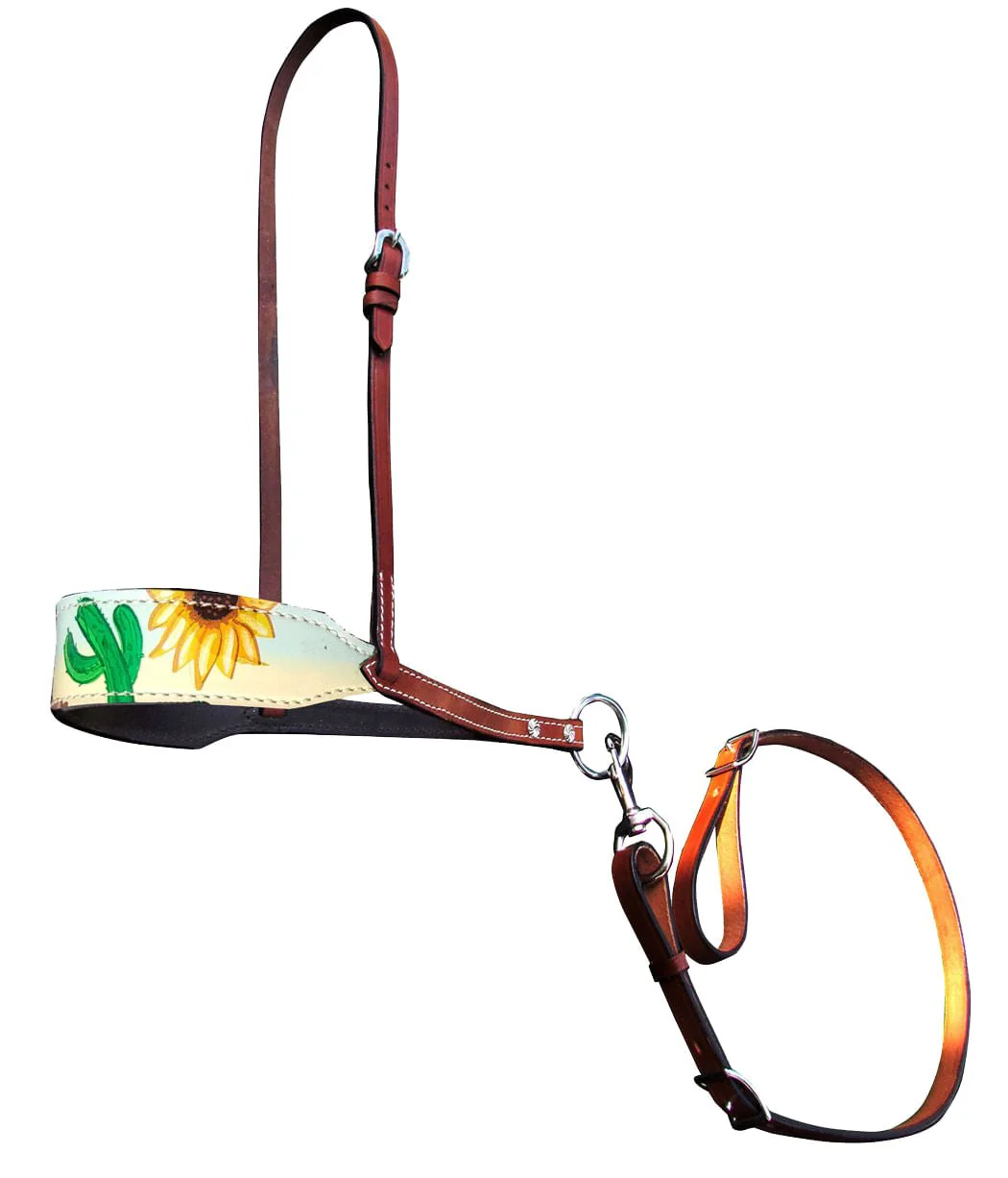 Showman Fashion Nosebands with Tie Down - Healthber