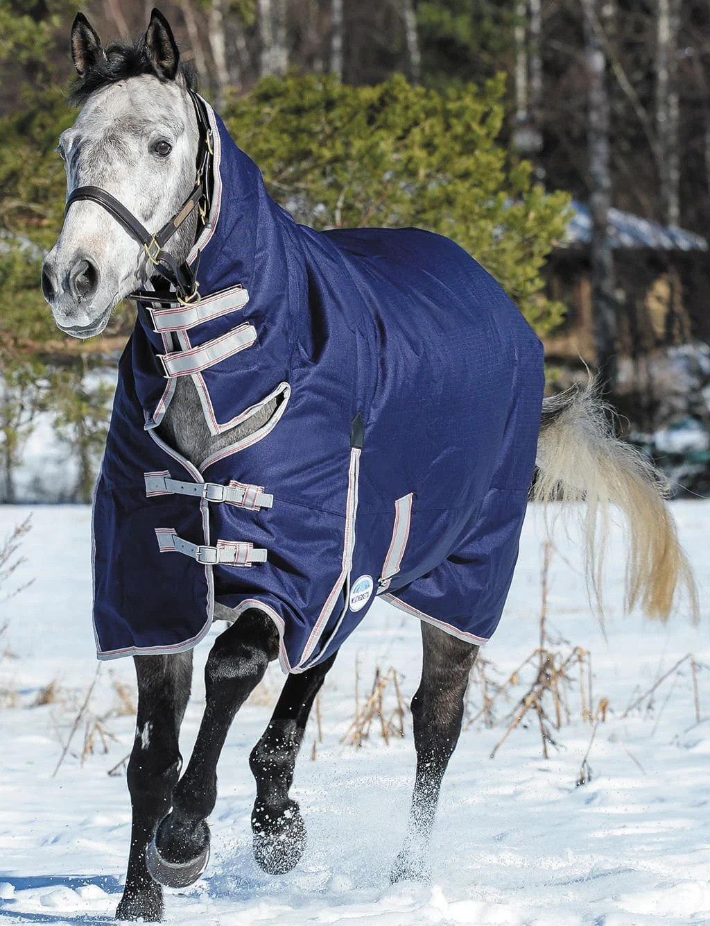 WeatherBeeta ComFITec Essential Combo Neck Heavy Weight Horse Blanket - Healthber