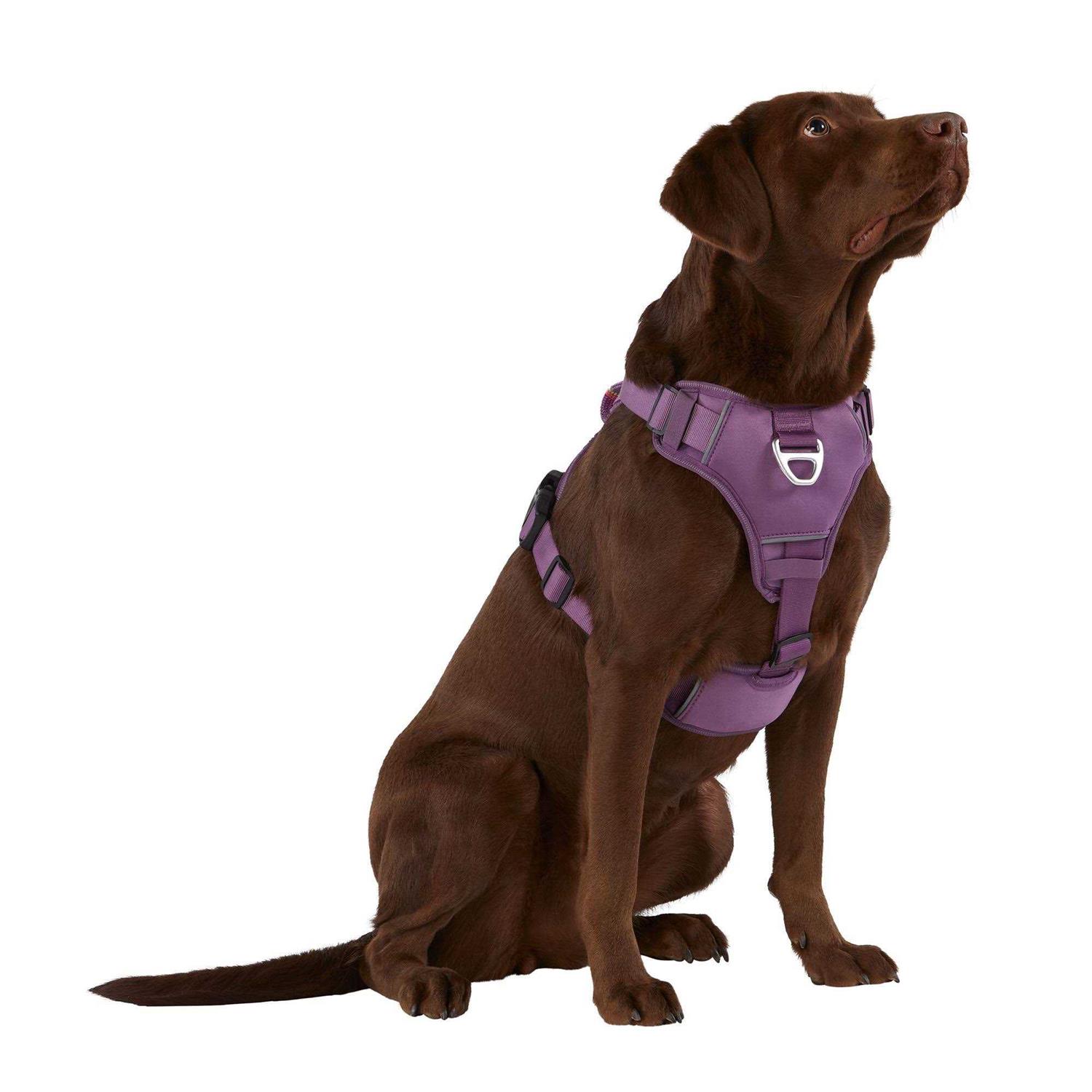 Arcadia Trail Neoprene Dog Harness - Healthber