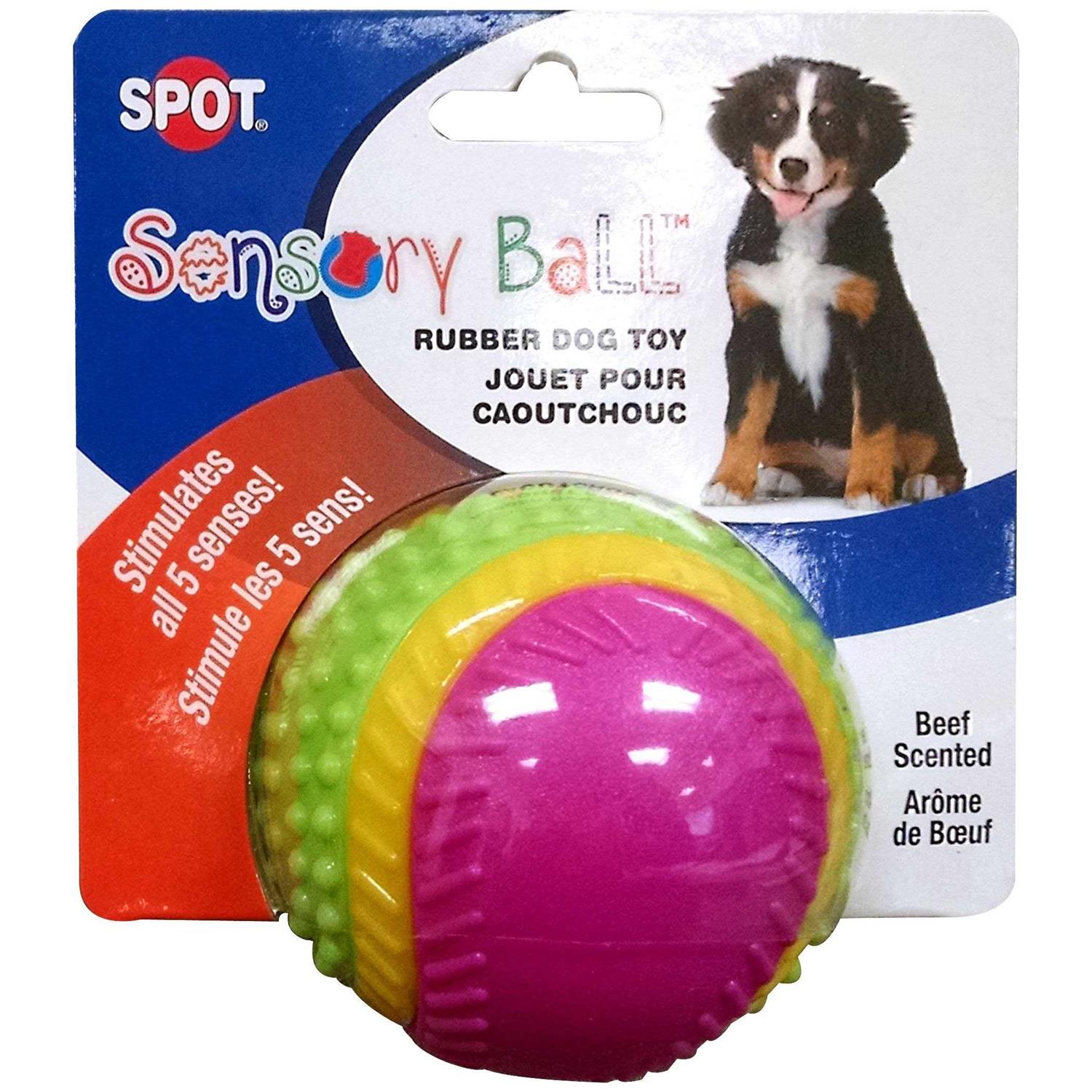 Ethical Pets Sensory Ball Dog Toy - Healthber