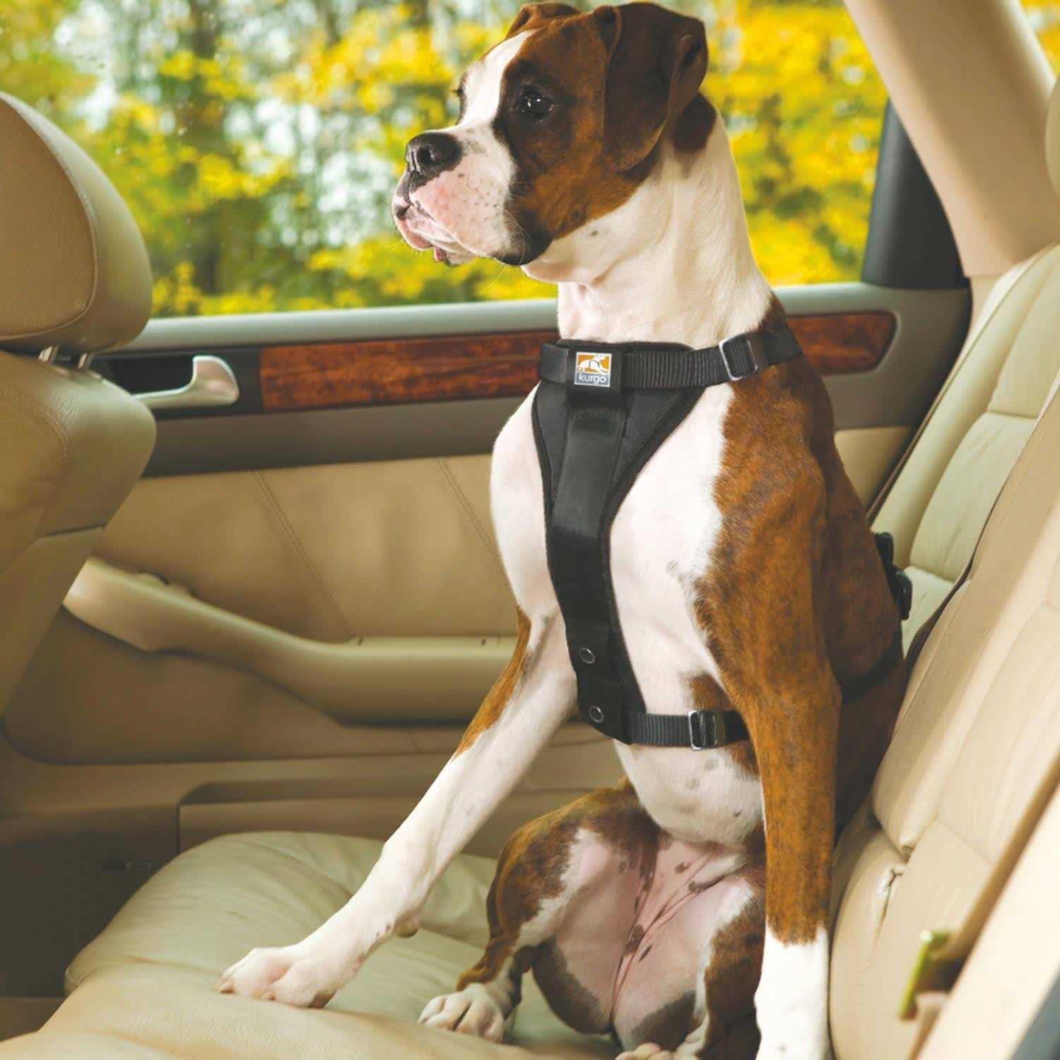 Kurgo Tru Fit Smart Harness - Healthber