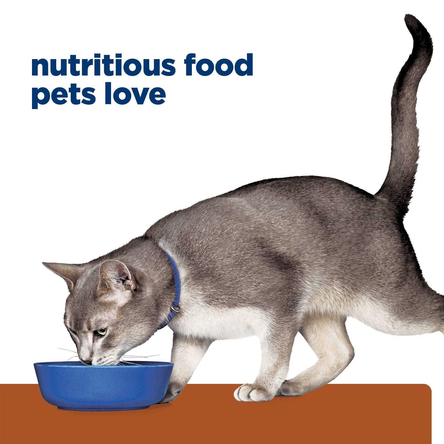 Prescription Diet k/d Kidney Care Cat Dry Food - Healthber