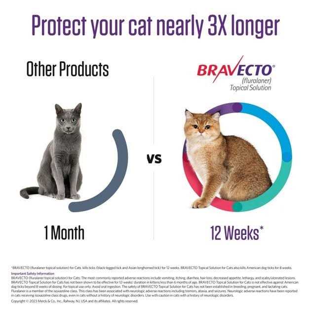6.2-13.8 lbs Bravecto Topical Solution for Cats - Healthber