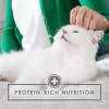 Fancy Feast Gravy Lovers Chicken Feast in Grilled Chicken Gravy Cat Food Can - Healthber