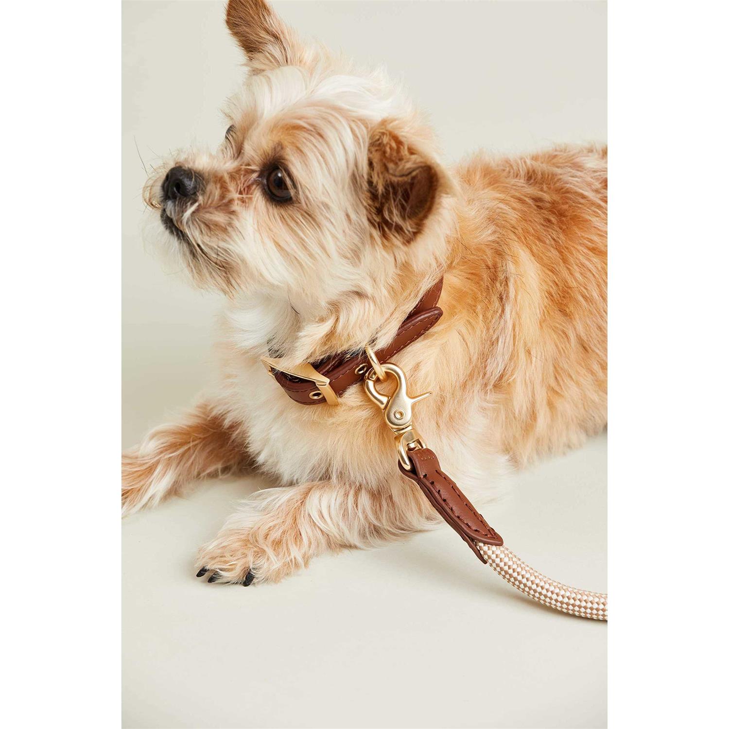 Harry Barker Check Rope Dog Leash - Healthber
