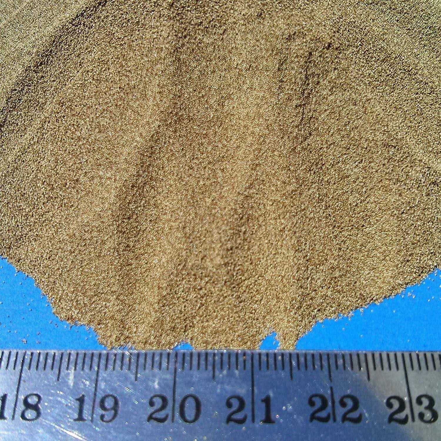 Aquatic Foods Inc Brine Shrimp Eggs 90% Hatch - Healthber