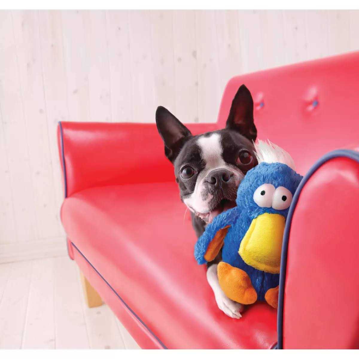 Kong Dodo Bird Dog Toy - Healthber