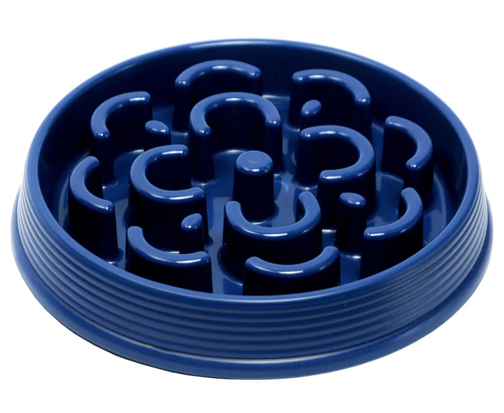 Slow Chow Feeder, Medium, 3 Cup - Healthber