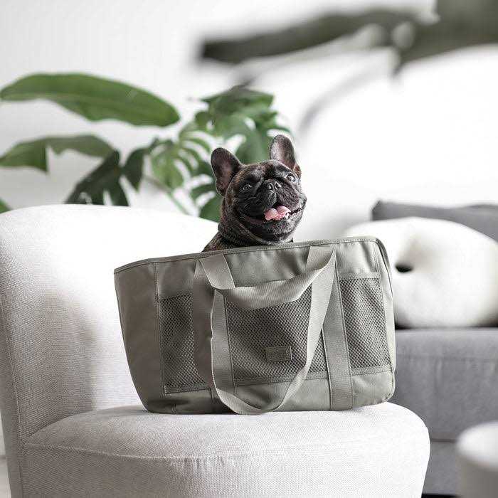 Small Dog Carrier for Pets up to 18lbs. Canvas Lightweight Water Resistant Pet Carrier. Perfect for Puppies or Kittens. Lambwolf Subway Carrier - Healthber