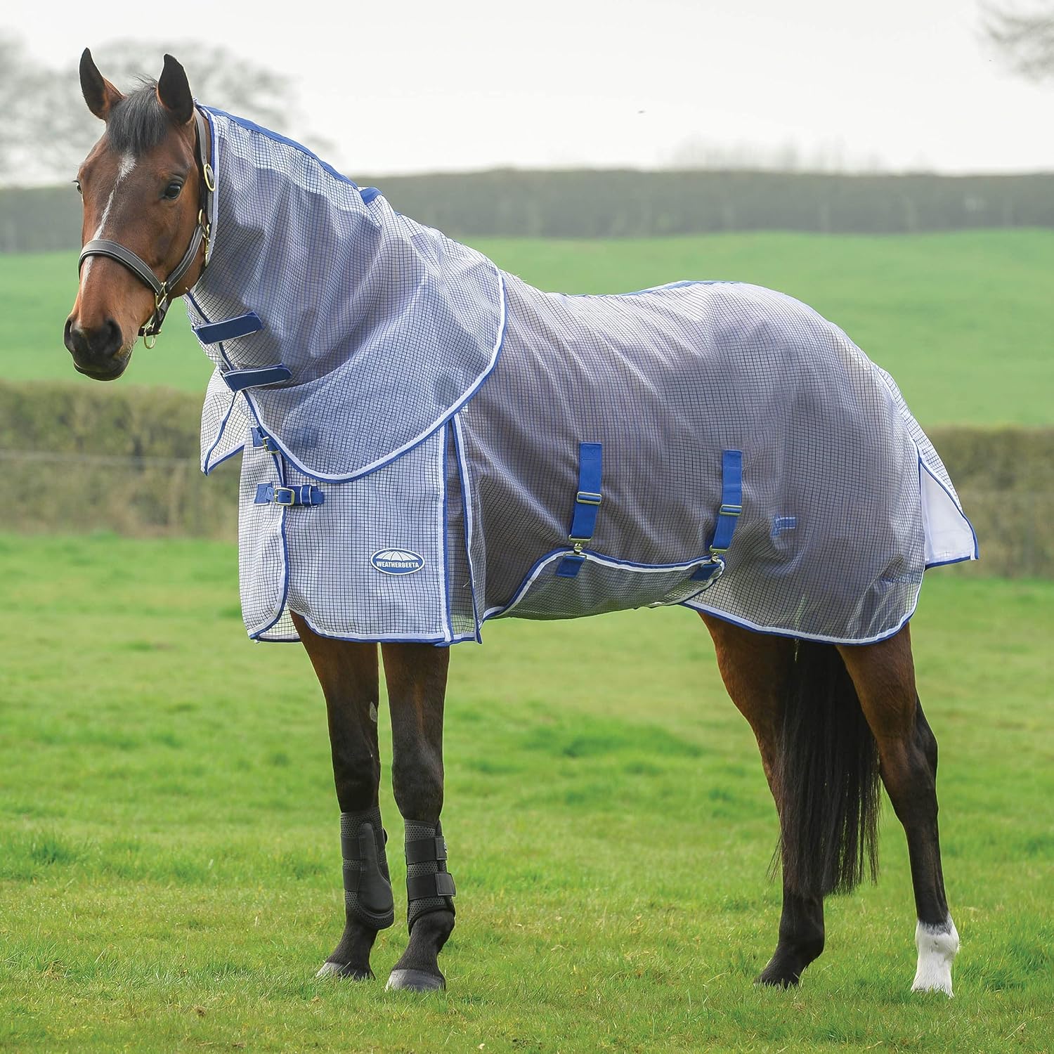 WeatherBeeta ComFITec RipShield Plus Detach-a-Neck Horse Fly Sheet - Healthber