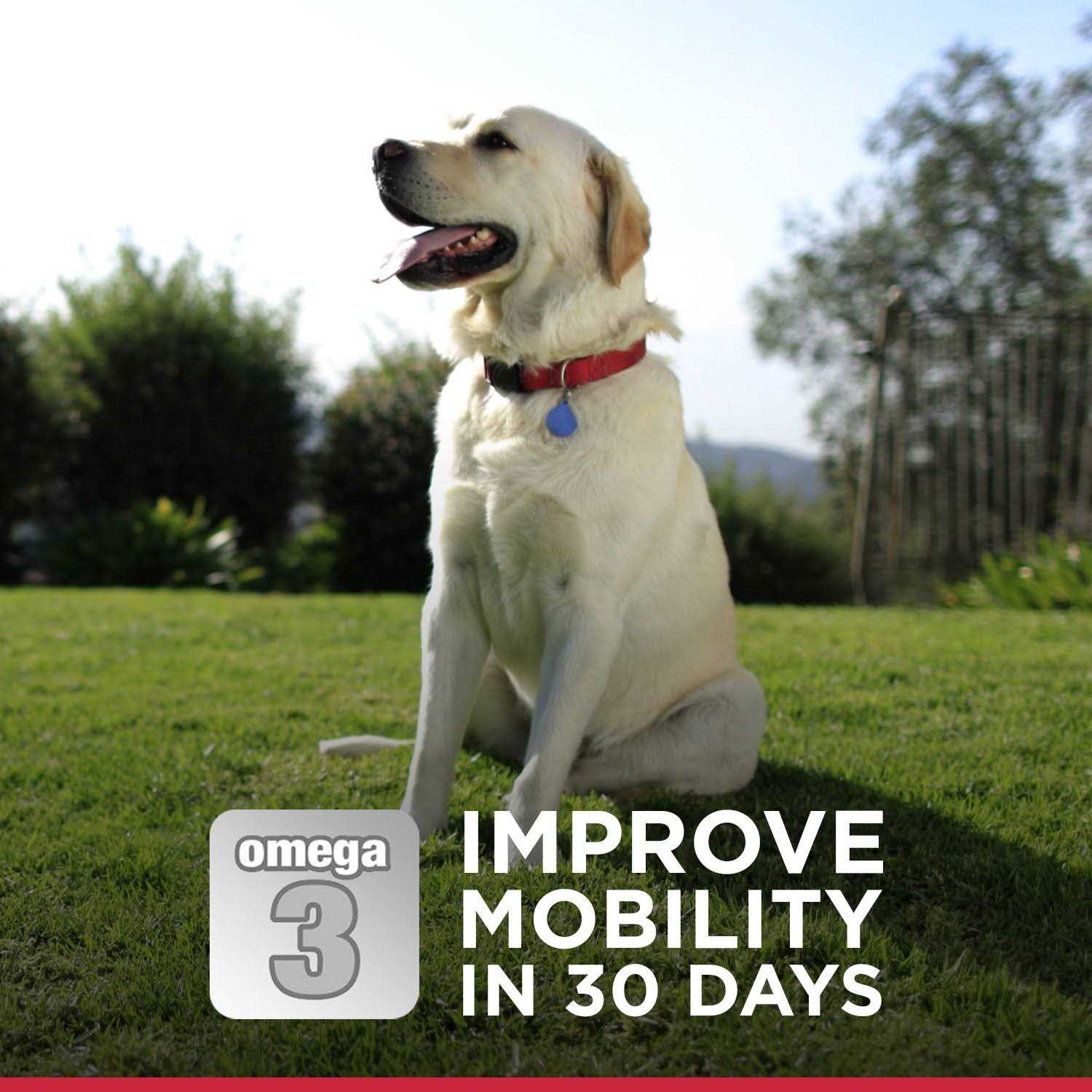 Hill’s Science Diet Adult Healthy Mobility Small Bites Dog Food - Healthber