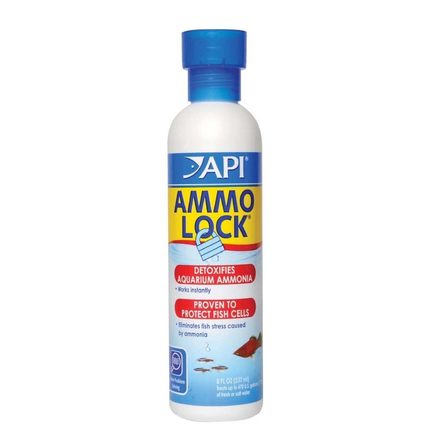 API Ammo Lock Ammonia - Healthber