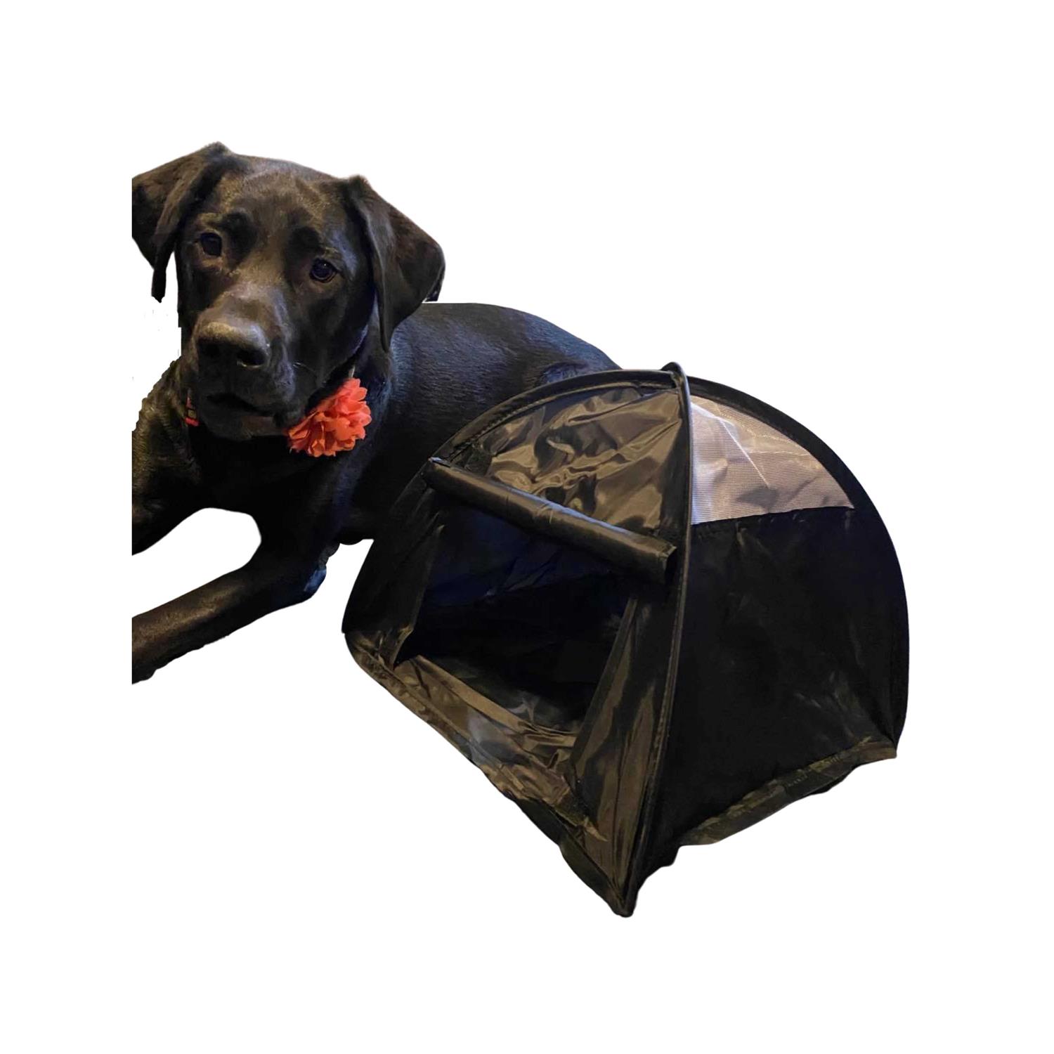 Pop Up Dog Tent - Healthber