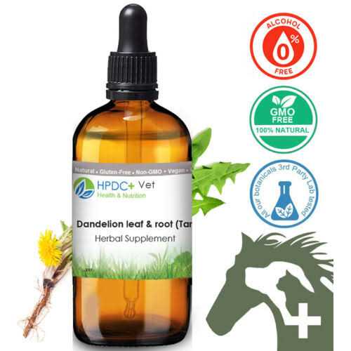 Pet Wellbeing -Dandelion Root for Cat Liver and Digestive Support - Healthber