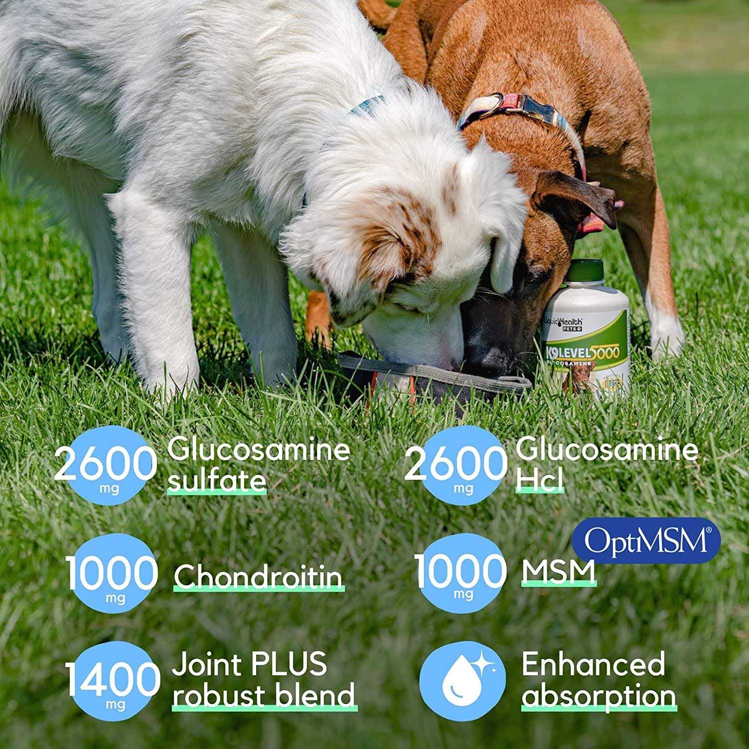 Liquid Health K9 Level 5000 Glucosamine - Healthber