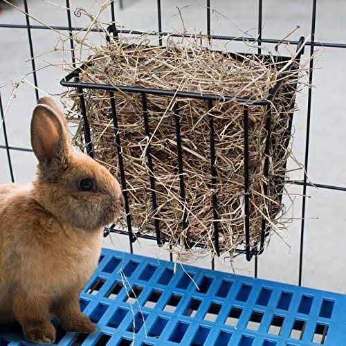 CAIQINLI 2PCS Rabbit Hay Feeder with Heavy-Duty Metal Frame Hay Holder,for Bunny - Healthber