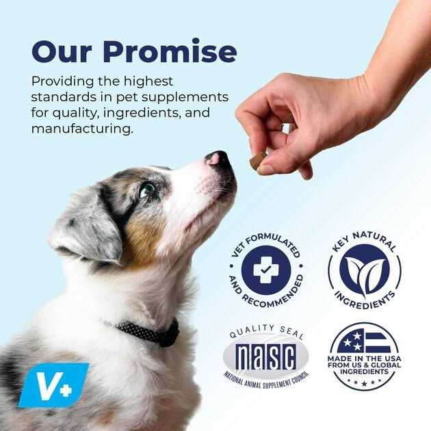Glandex Advanced Vet Strength Chew - Healthber
