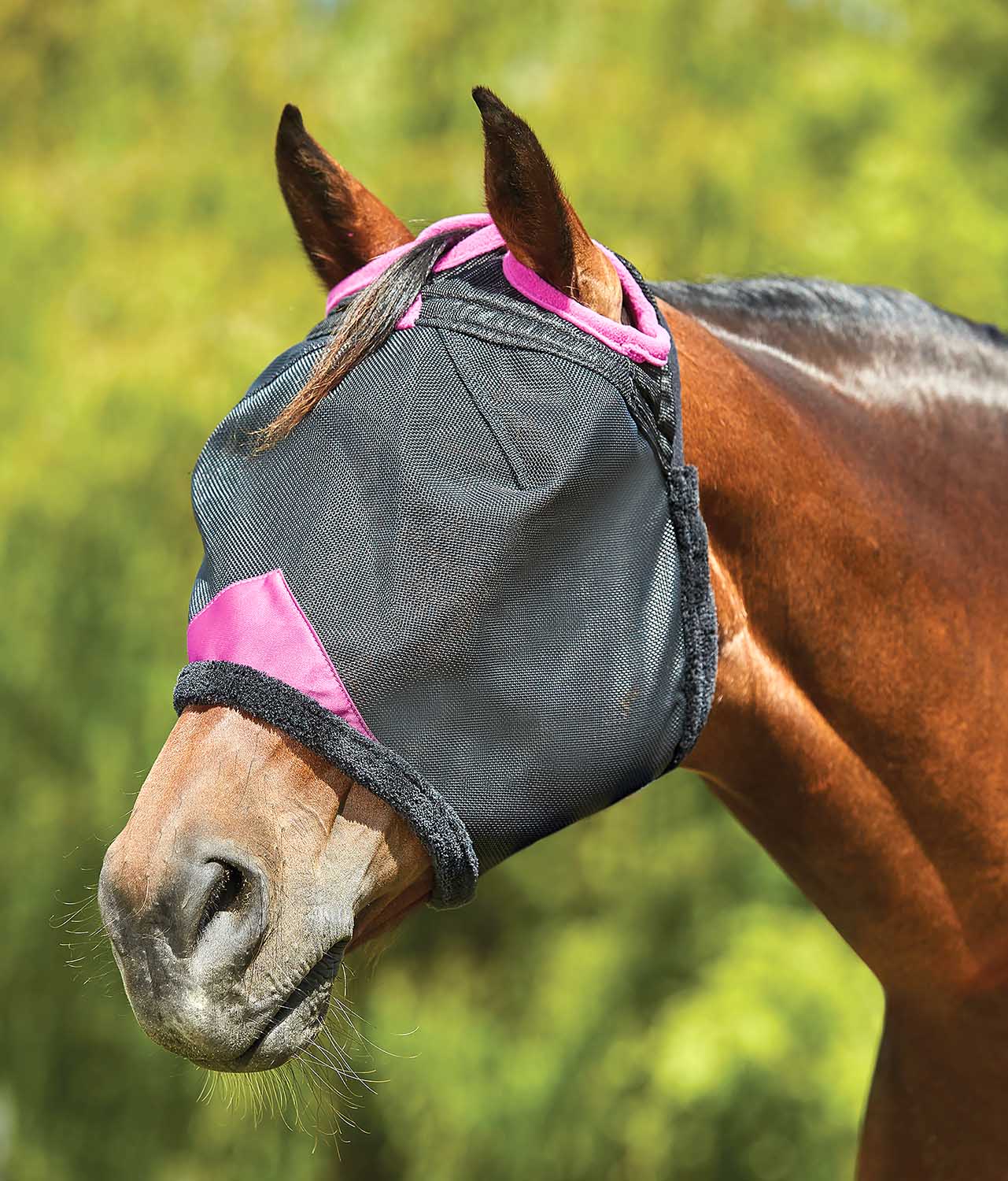 Weatherbeeta ComFITec Deluxe Durable Mesh Horse Fly Mask - Healthber