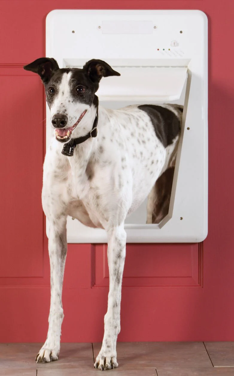 PetSafe Electronic Smart Door - Healthber