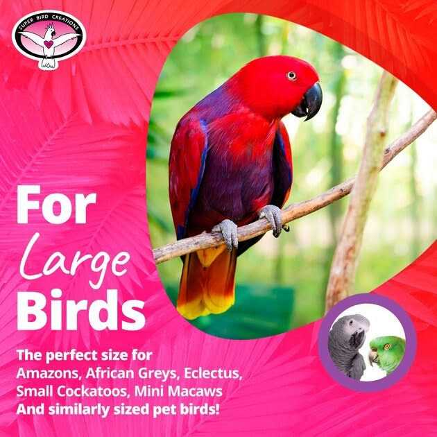 Super Bird Creations SB1107 Bagel Cascade Bird Toy - Healthber