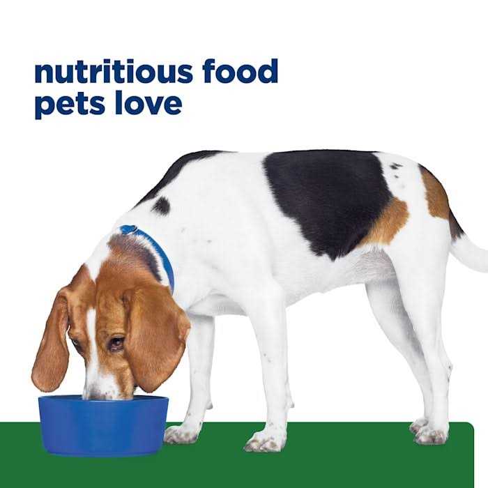 Hill’s Prescription Diet r/d Weight Chicken Flavor Dry Dog Food - Healthber