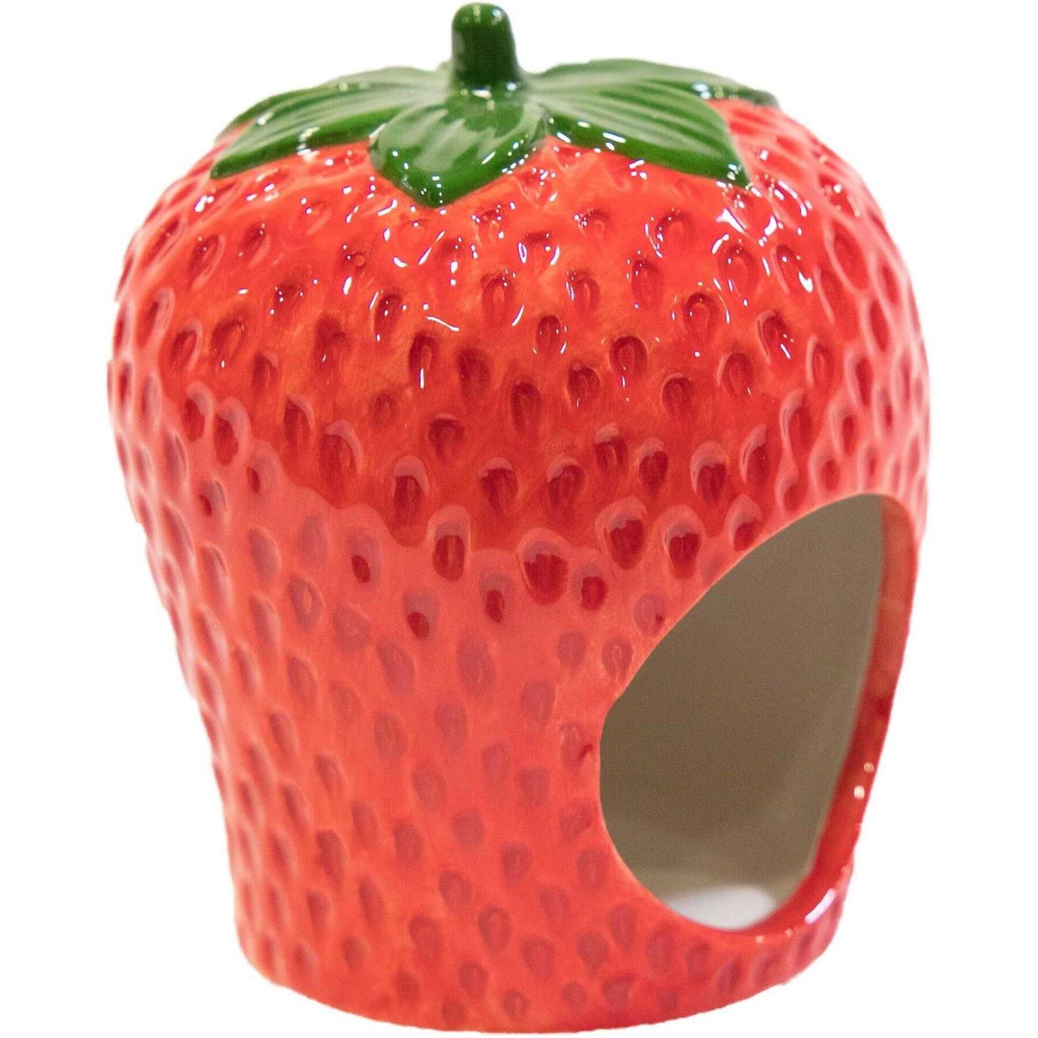 Ware Berry Hamster Hideout - Healthber