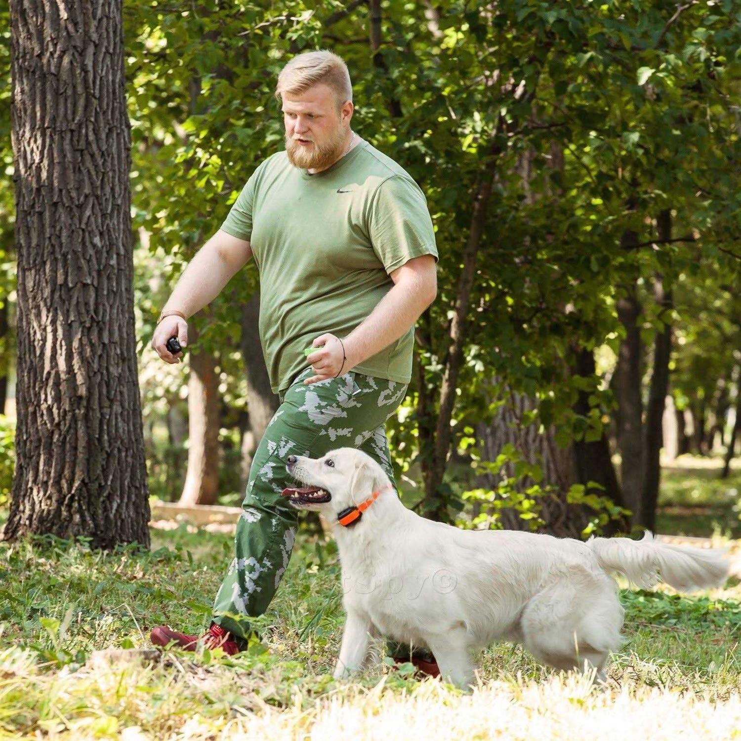 PetSpy Dual Dog Training Shock Collar for 2 Dogs with Beep Vibration and ELECTR - Healthber