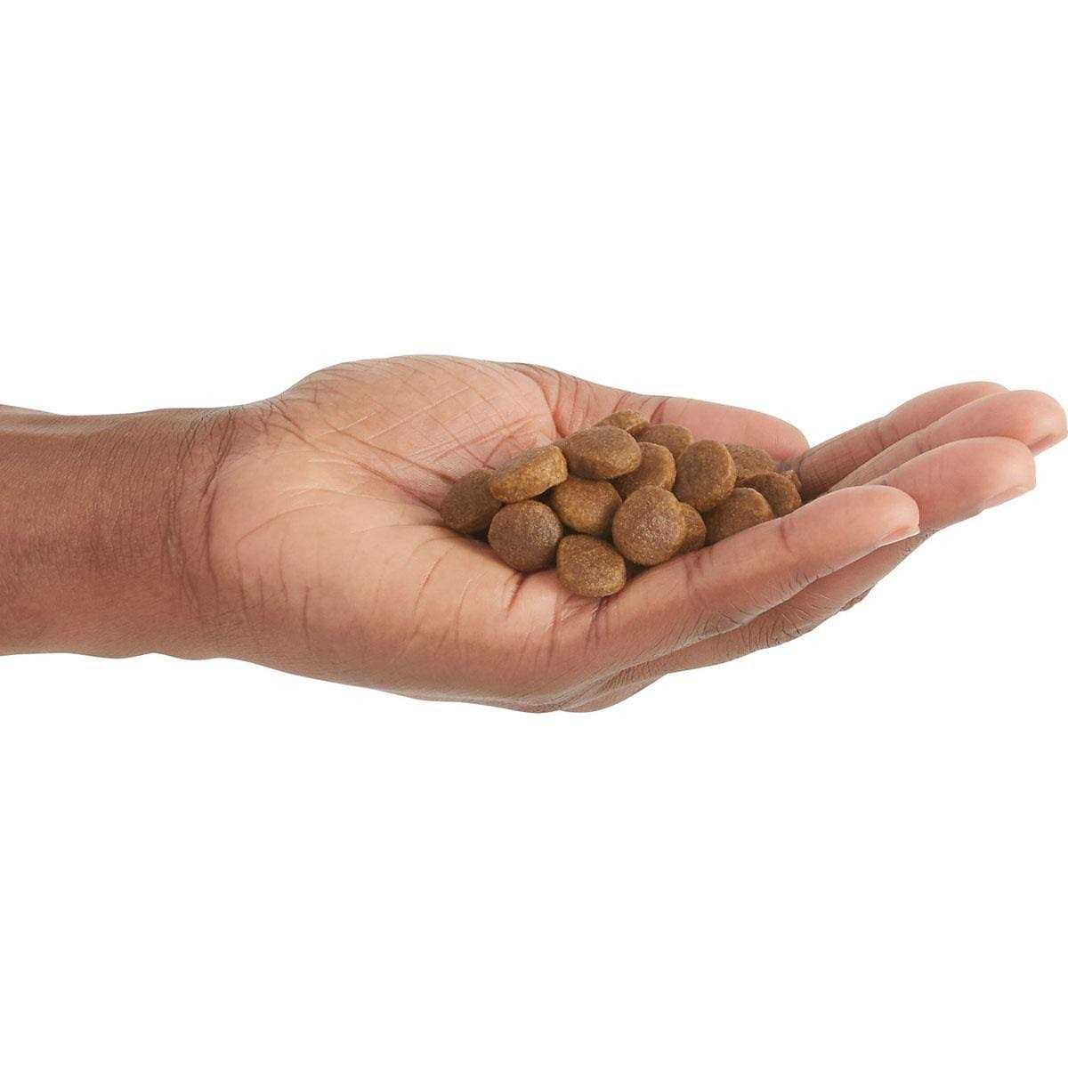 Acana Free-Run Poultry Dry Dog Food - Healthber