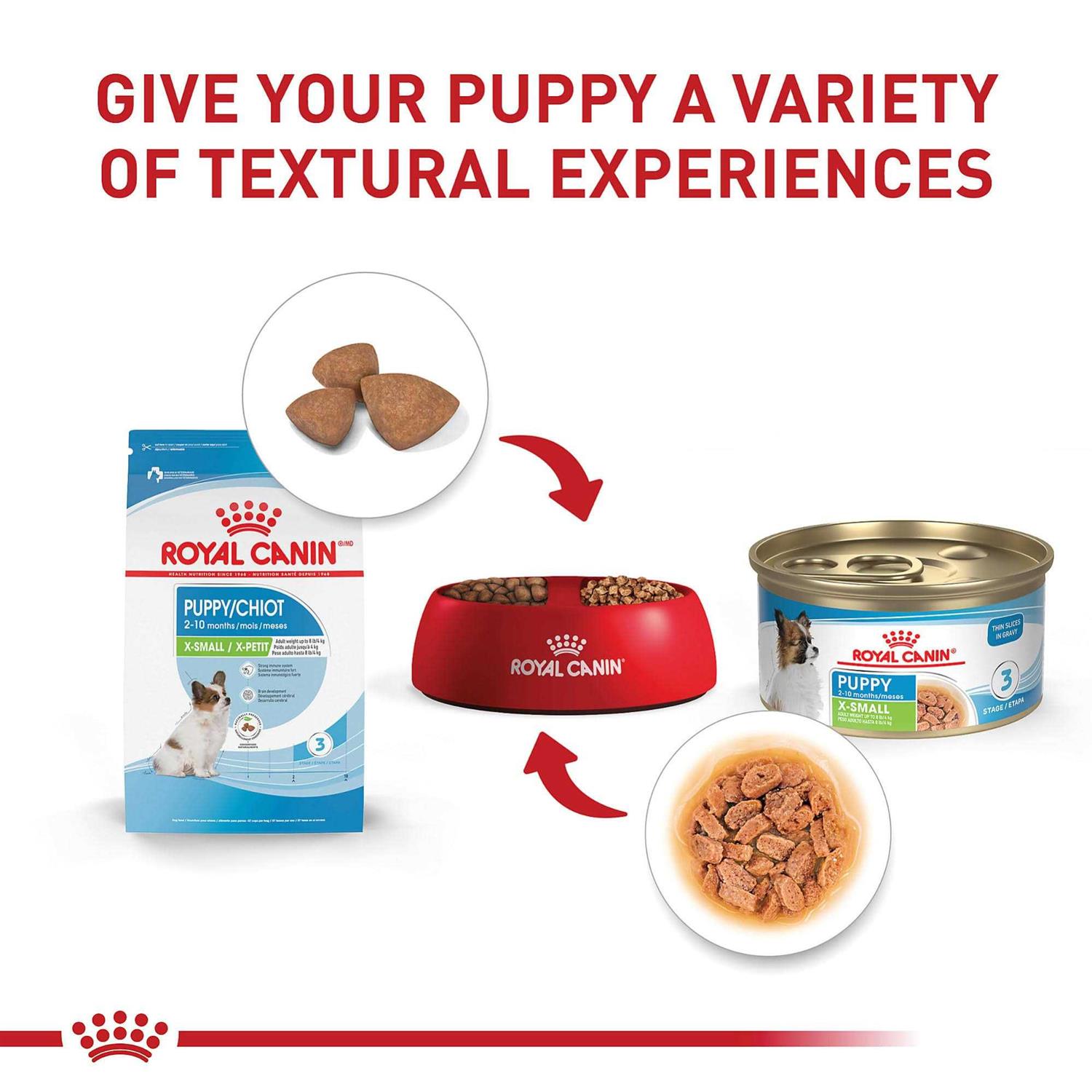 Royal Canin Size Health Nutrition Puppy Thin Slices in Gravy Wet Dog Food - Healthber