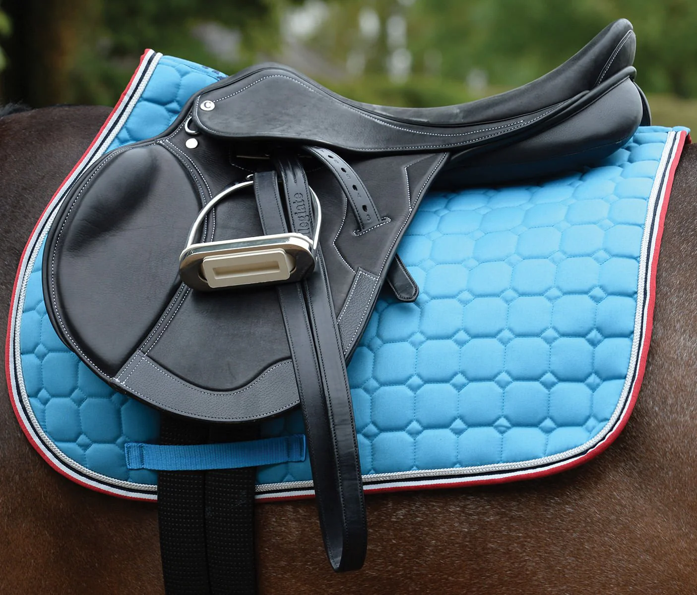 Saxon Coordinate Quilted All Purpose Saddle Pad - Healthber