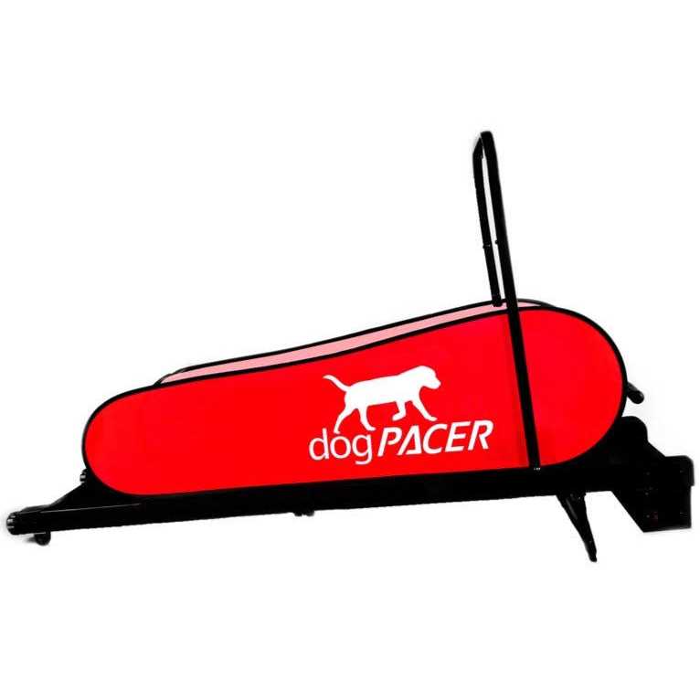 dogPACER LF 3.1 Dog Treadmill - Healthber