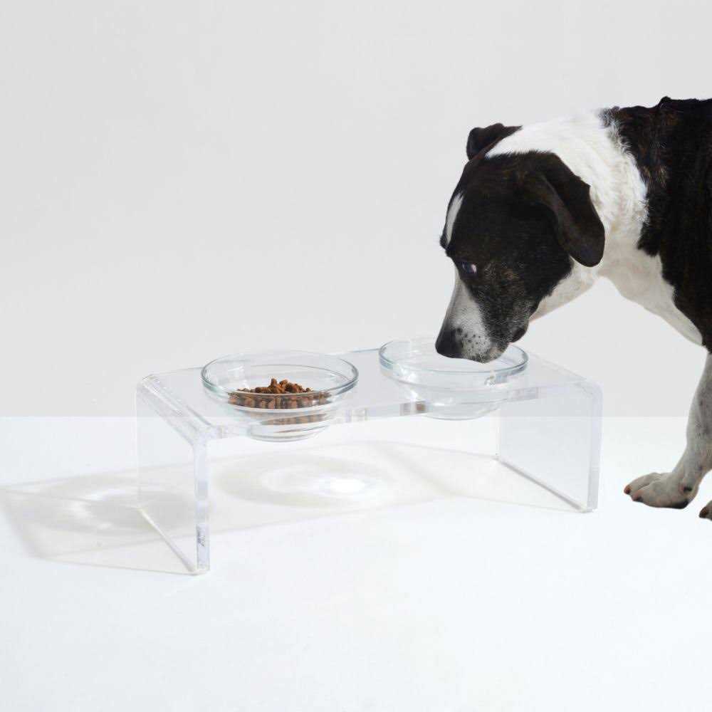 Glass Bowl Clear Elevated Feeder Hiddin - Healthber