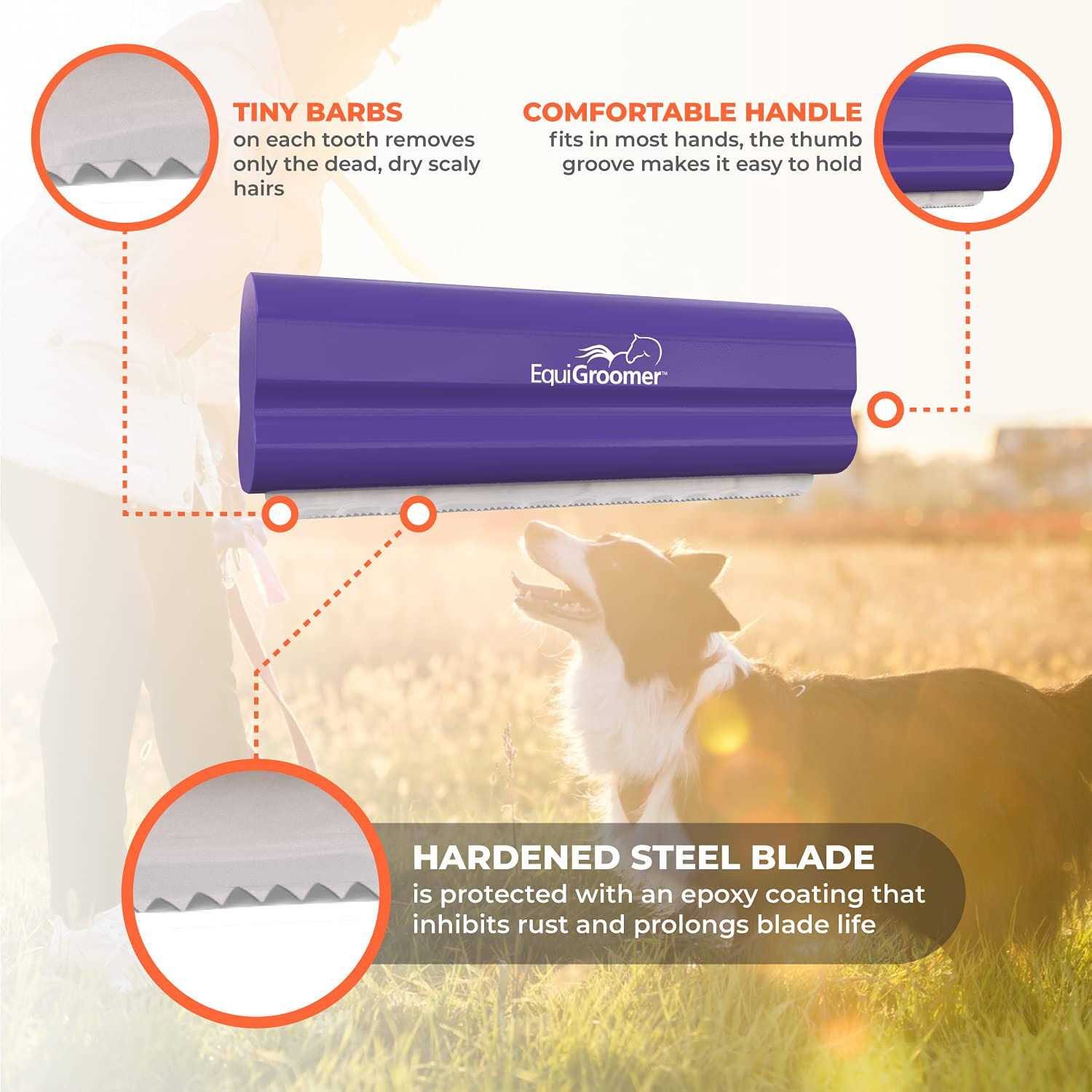 5 EquiGroomer Tool - Healthber