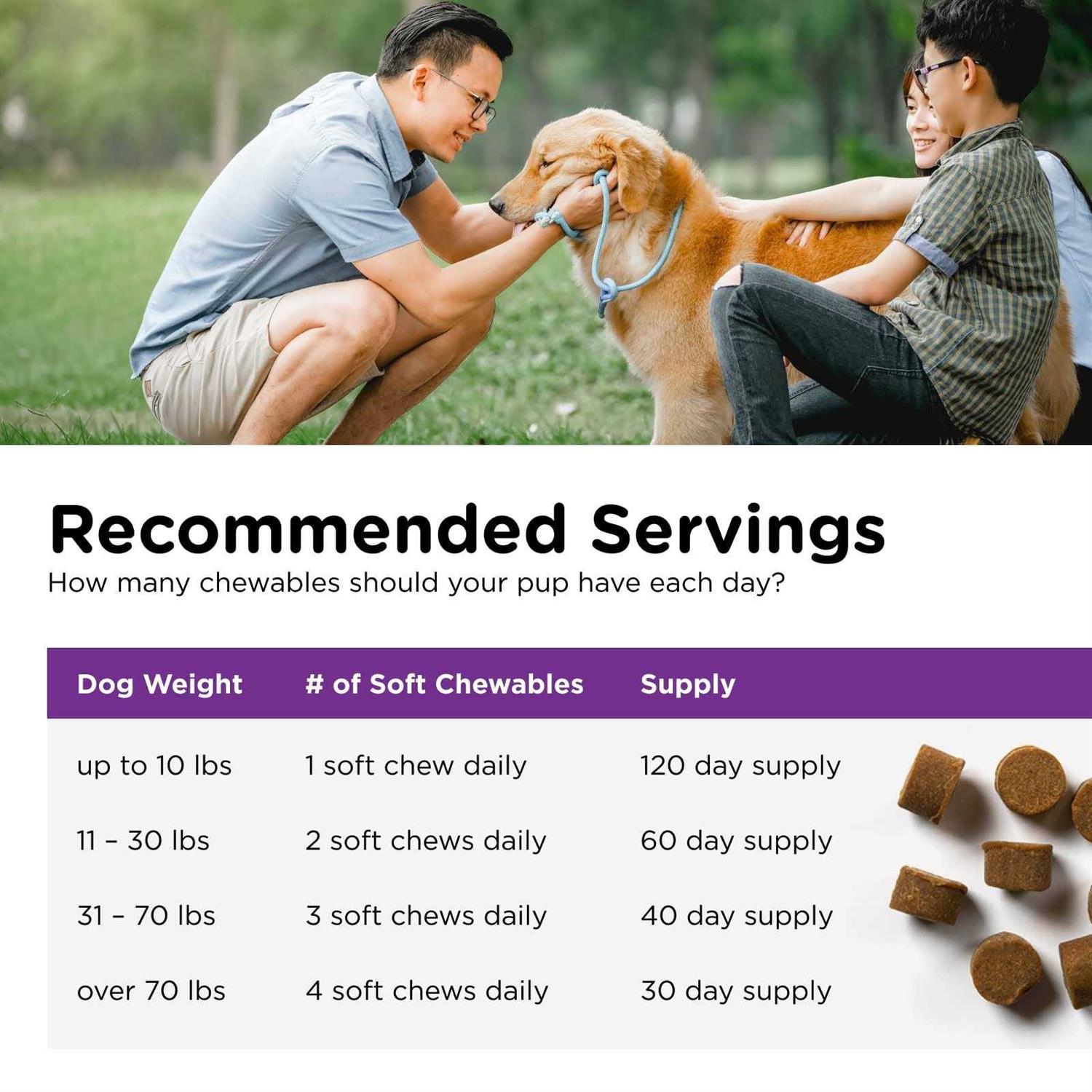 Nutri-Vet Pre and Probiotic Soft Chews for Dogs - Healthber