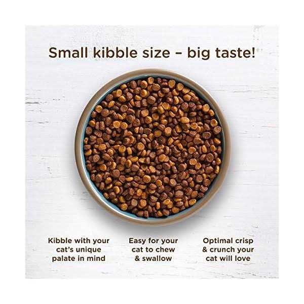 Rachael Ray Nutrish Super Premium Cat Dry Food - Healthber