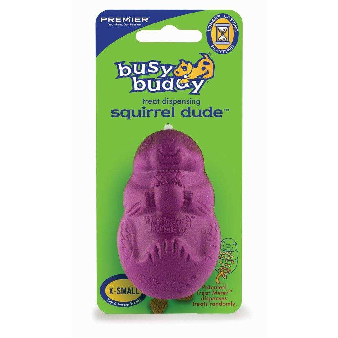 Busy Buddy Squirrel Dude Dog Toy - Healthber
