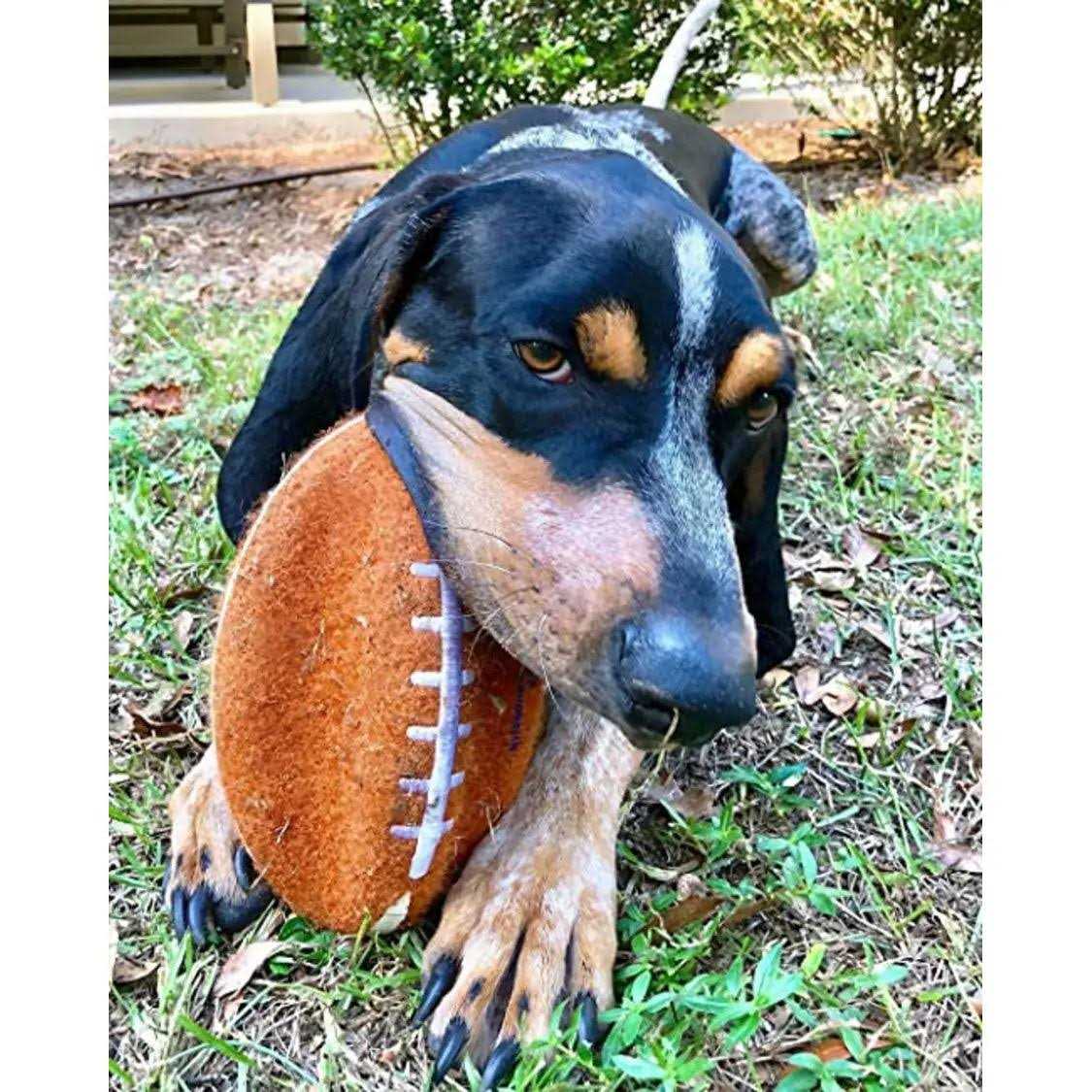 Nylabone Power Play Football Gripz Dog Toy - Healthber
