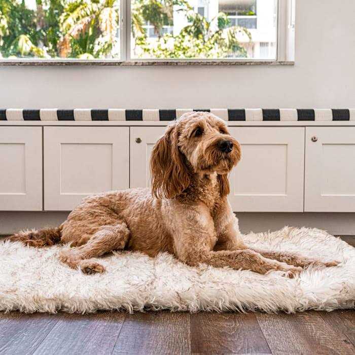 Paw PupRug Portable Orthopedic Dog Bed White - Healthber