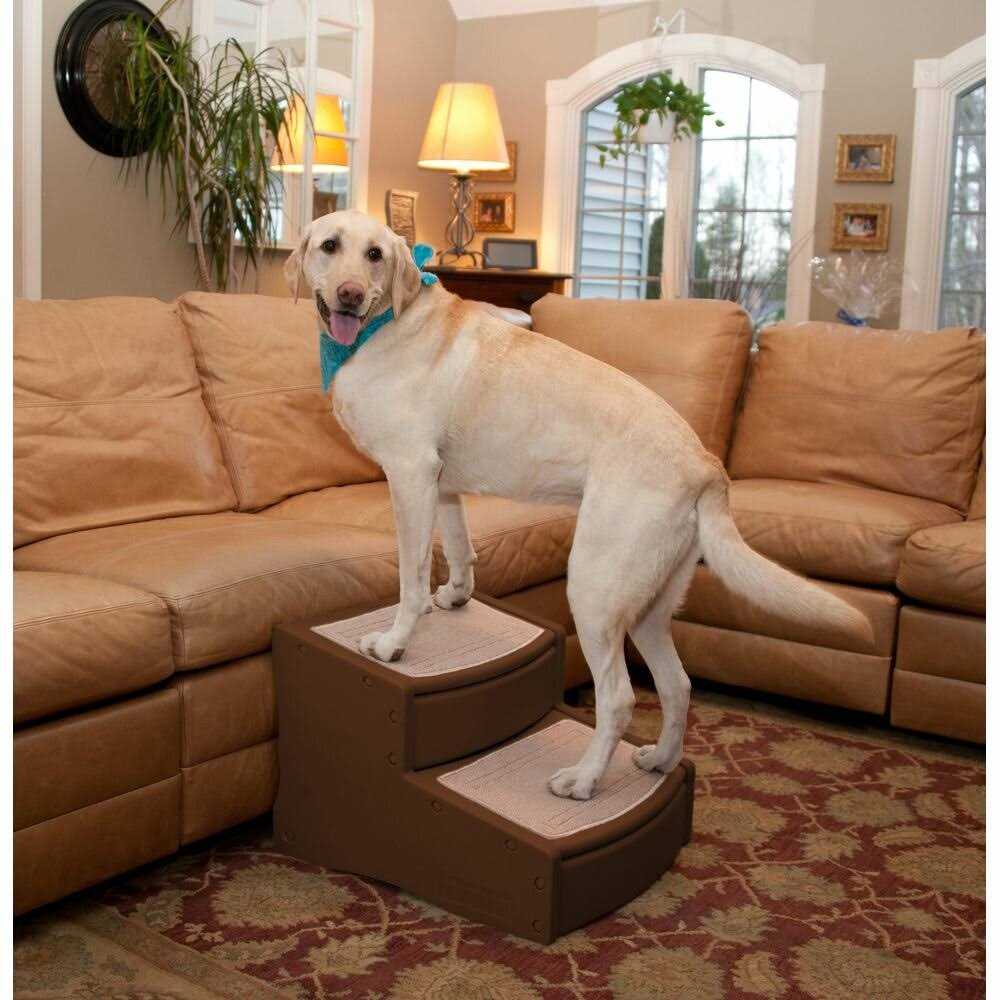 Pet Gear Easy Step II Stairs - Healthber
