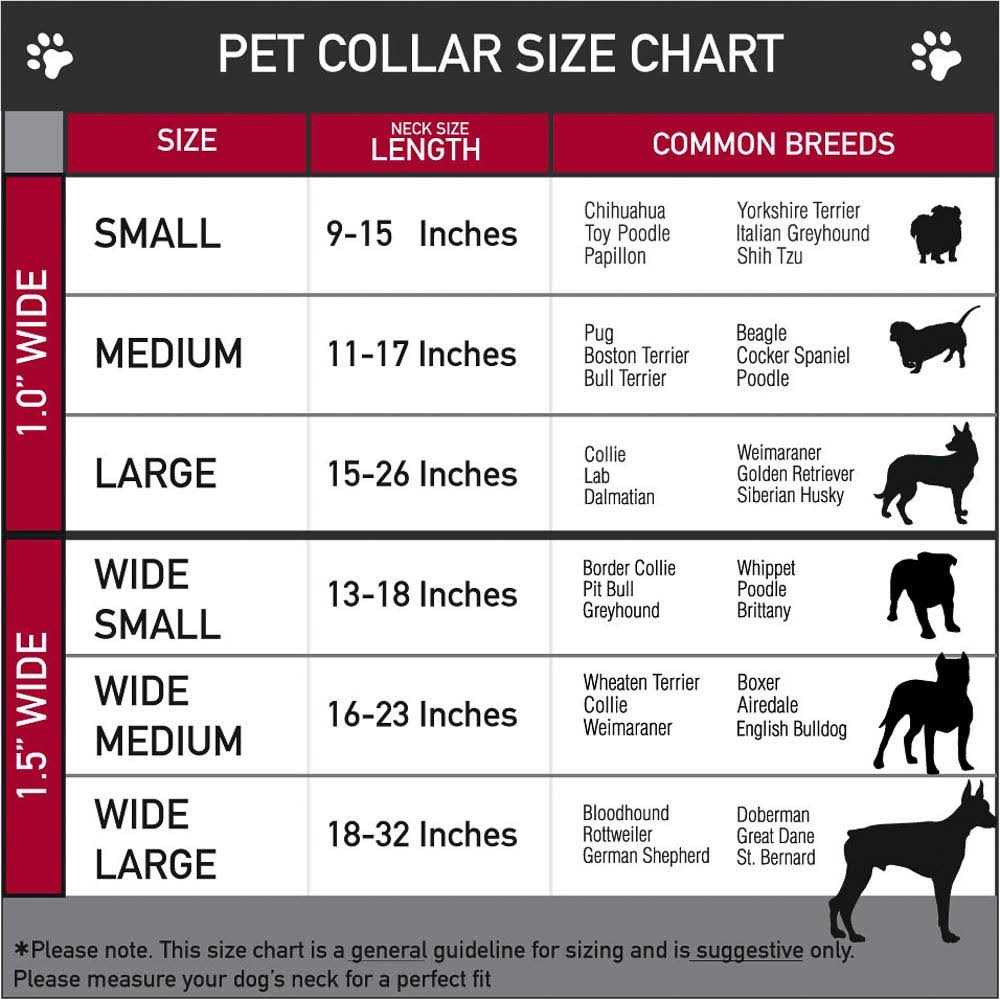 Buckle-Down Buckle Seatbelt Dog Collar - Healthber