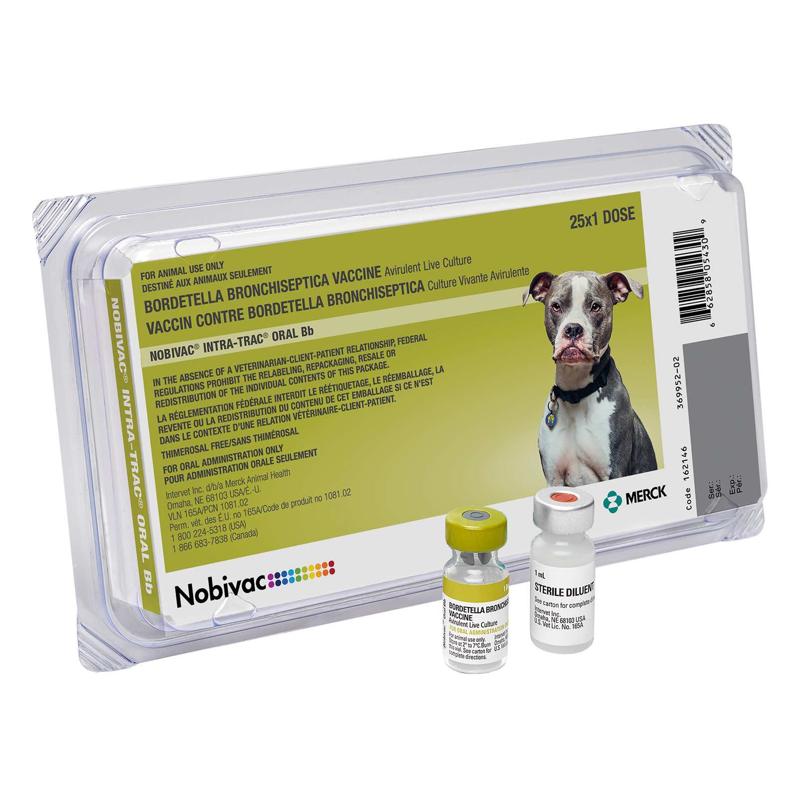 Nobivac Intra-Trac Oral Bb, 25 x 1 Doses - Healthber