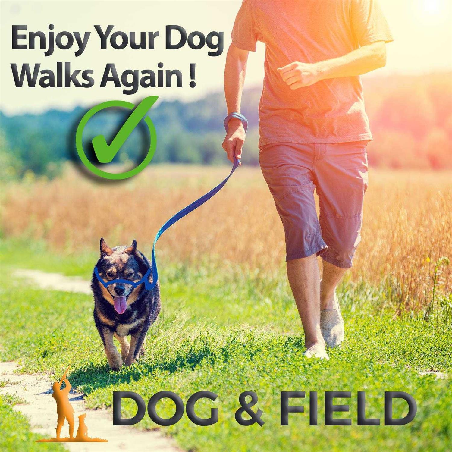 Dog & Field Figure 8 Anti Pull LeashHalterHead collar One Size Fits All - Healthber